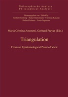 Maria C. Amoretti, Maria Cristina Amoretti, Mari Cristina Amoretti, Maria Cristina Amoretti, Preyer, Preyer... - Triangulation
