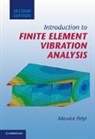 Maurice Petyt, Maurice (University of Southampton) Petyt - Introduction to Finite Element Vibration Analysis