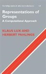 Klaus Lux, Klaus (University of Arizona) Lux, Klaus (University of Arizona) Pahlings Lux, Klaus Pahlings Lux, Herbert Pahlings - Representations of Groups