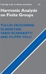 Tullio Ceccherini-Silberstein, Tullio Scarabotti Ceccherini-Silberstein, Fabio Scarabotti, Fabio (Universit... degli Studi di Roma 'La Sapienza' Scarabotti, Fabio (Universita degli Studi di Roma 'La Sapienza' Scarabotti, Filippo Tolli... - Harmonic Analysis on Finite Groups