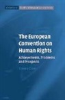 Steven Greer, Steven (University of Bristol) Greer, Laurence Gormley, Jo Shaw - European Convention on Human Rights