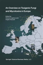 Antoni Logrieco, Antonio Logrieco, Visconti, Visconti, Angelo Visconti - An Overview on Toxigenic Fungi and Mycotoxins in Europe