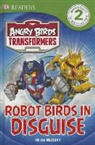Ruth Amos, Dk Publishing, Inc. (COR) Dorling Kindersley, Helen Murray - Untitled L2