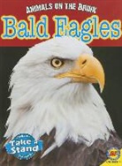 Karen Dudley - Bald Eagles