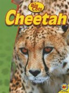 Steve Goldsworthy - Cheetah