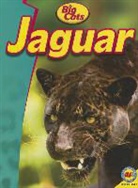 Lauren Diemer - Jaguar