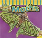 Aaron Carr - Moths