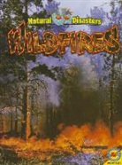 Pamela McDowell - Wildfires