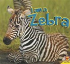 Aaron Carr, Alexis Roumanis - Zebra