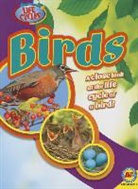 Steve Goldsworthy - Birds