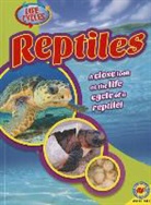Jack Zayarny - Reptiles