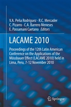 César Augusto Barrero Meneses, Robert C Mercader, Roberto C Mercader, Roberto C. Mercader, Edson Passamani Caetano, Víctor A. Pena Rodríguez... - LACAME 2010
