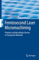 Giuli Cerullo, Giulio Cerullo, Roberto Osellame, Roberta Ramponi - Femtosecond Laser Micromachining