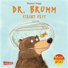 Daniel Napp, Daniel Napp - Dr. Brumm steckt fest