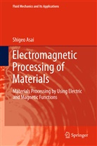 Shigeo Asai - Electromagnetic Processing of Materials