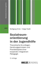 Wolfgan Hinte, Wolfgang Hinte, Helga Treeß - Sozialraumorientierung in der Jugendhilfe