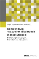 Jörg M. Fegert, Jör M Fegert, Jörg M Fegert, Wolff, Wolff, Mechthild Wolff - Kompendium "Sexueller Missbrauch in Institutionen"
