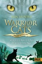 Erin Hunter, Klaus Weimann - Warrior Cats, Special Adventure, Streifensterns Bestimmung