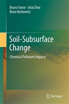Brian Berkowitz, Isha Dror, Ishai Dror, Brun Yaron, Bruno Yaron - Soil-Subsurface Change