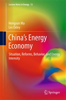 Hengyu Ma, Hengyun Ma, Les Oxley, Prof. Les Oxley - China's Energy Economy