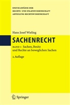 Hans J. Wieling, Hans Josef Wieling - Sachenrecht - 1: Sachen, Besitz und Rechte an beweglichen Sachen