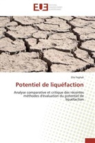 Elie Feghali, Feghali-e - Potentiel de liquefaction