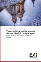 Claudio D'Ambra - Vulnerabilità e miglioramento sismico di edifici in aggregato