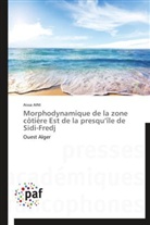 Aissa Aini, Aini-a - Morphodynamique de la zone
