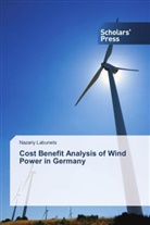 Nazariy Labunets - Cost Benefit Analysis of Wind Power in Germany
