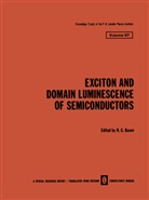 N. G. Basov, G Basov, N G Basov - Exciton and Domain Luminescence of Semiconductors