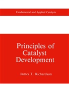 James T Richardson, James T. Richardson - Principles of Catalyst Development