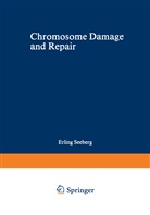 Erlin Seeberg, Erling Seeberg - Chromosome Damage and Repair