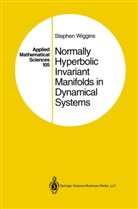 I. Mezic, Stephen Wiggins - Normally Hyperbolic Invariant Manifolds in Dynamical Systems