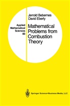Jerrol Bebernes, Jerrold Bebernes, David Eberly - Mathematical Problems from Combustion Theory
