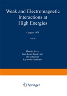 Mauric Levy, Maurice Levy - Weak and Electromagnetic Interactions at High Energies