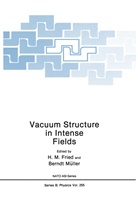 H. M. Fried, H.M. Fried, M Fried, H M Fried, Muller, Muller... - Vacuum Structure in Intense Fields