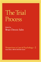 Bruc Dennis Sales, Bruce Dennis Sales, Bruce Dennis Sales - The Trial Process
