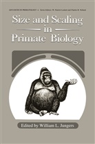 Willia J Jungers, William J Jungers, William J. Jungers - Size and Scaling in Primate Biology