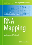 M. Lucrecia Alvarez, Lucrecia Alvarez, M Lucrecia Alvarez, Nourbakhsh, Nourbakhsh, Mahtab Nourbakhsh - RNA Mapping