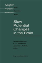 Haschk, Haschke, Haschke, Speckmann, Speckmann - Slow Potential Changes in the Brain