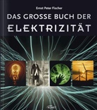 Ernst P. Fischer - Das große Buch der Elektrizität