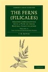 F. O. Bower, F.o. Bower, Bower F. O. - Ferns (Filicales): Volume 3, the Leptosporangiate Ferns