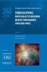 Richard De Grijs, Richard (University of Sheffield) Lepine De Grijs, Richard Lepine De Grijs, International Astronomical Union, Richard De Grijs, Richard (University of Sheffield) de Grijs... - Star Clusters (Iau S266)