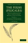 F. O. Bower, F.o. Bower, Bower F. O. - Ferns Filicales: Volume 1, Analytical Examination of Criteria of