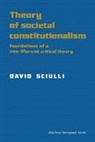 David Sciulli, David (Texas a &amp; M University) Sciulli, Sciulli David - Theory of Societal Constitutionalism