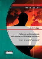 Kathrin Jäger - Materielle und immaterielle Instrumente der Mitarbeitermotivation: Garant für eine Verbesserung?