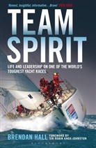 Brendan Hall, Hall Brendan - Team Spirit