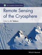 M Tedesco, Marco Tedesco, Tedesco Marco - Remote Sensing of the Cryosphere