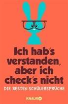 Iris Hechenberger - Ich hab's verstanden, aber ich check's nicht