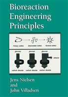 Jen Nielsen, Jens Nielsen, John Villadsen - Bioreaction Engineering Principles